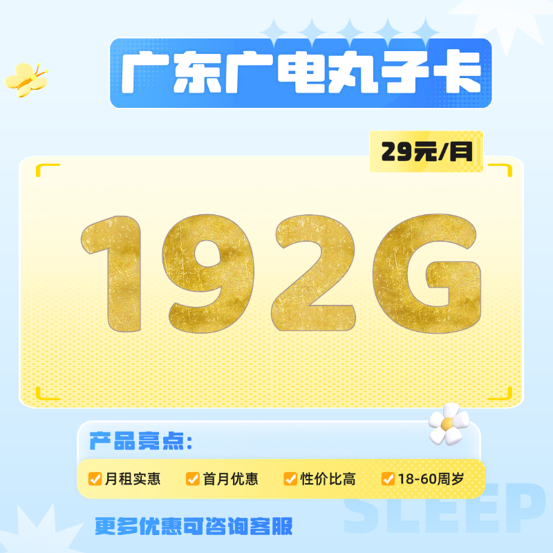 广东广电丸子卡(29元包192G通用流量)