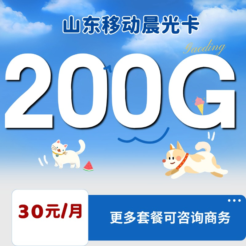 山东移动晨光卡(30元包200G国内流量)