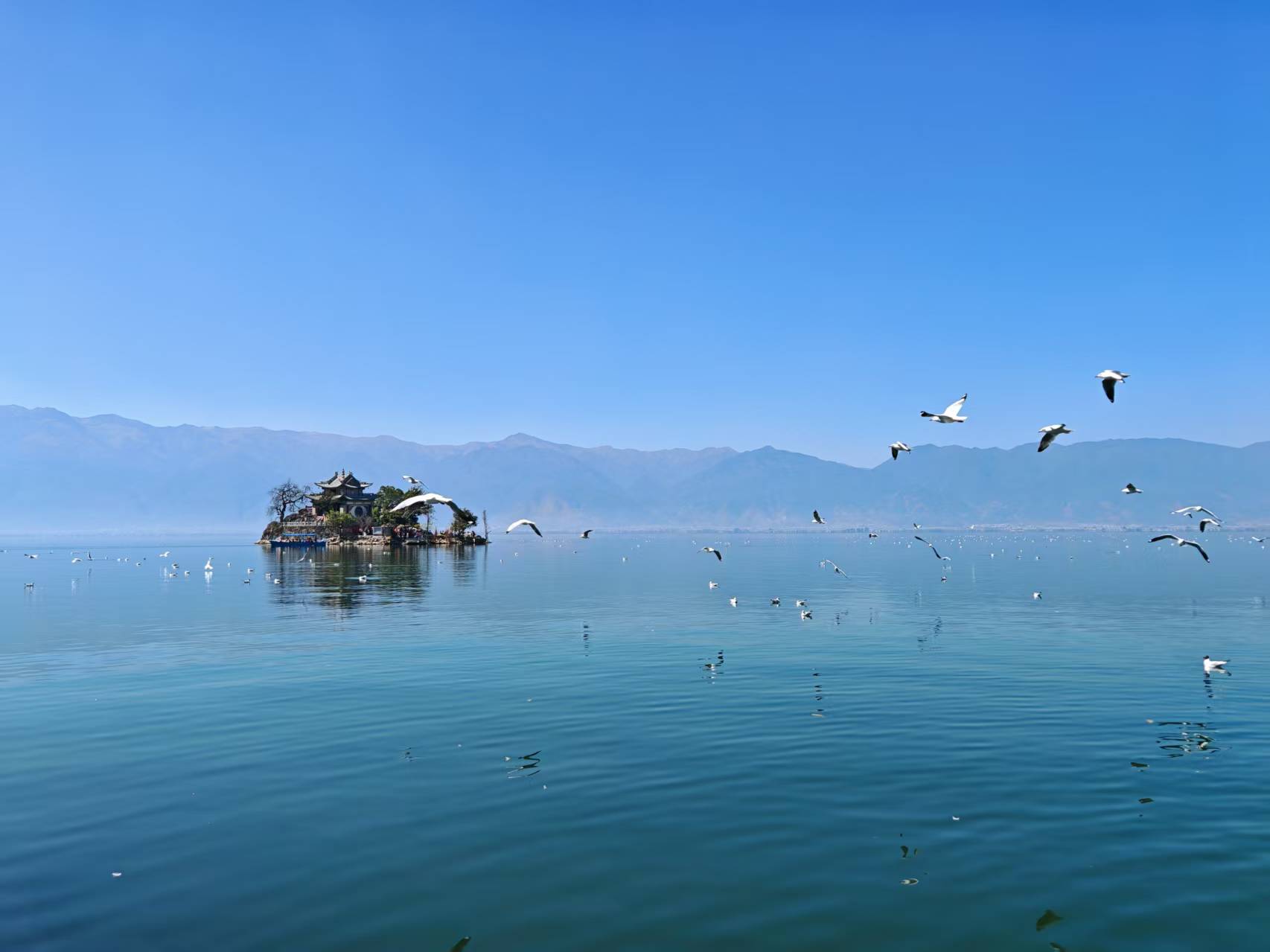 这里，天很蓝，云很淡，时间很慢……（洱海）